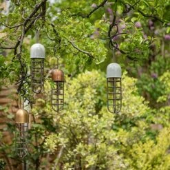 Tree Hanging Fat Ball Feeder - Putty 11 Tree Hanging Fat Ball Feeder - Putty -Plants Shop pr2000041703 card6 lg