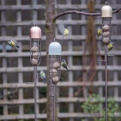 Garden Stake Fat Ball Feeder 9 Garden Stake Fat Ball Feeder -Plants Shop pr2000041704 card5 lg