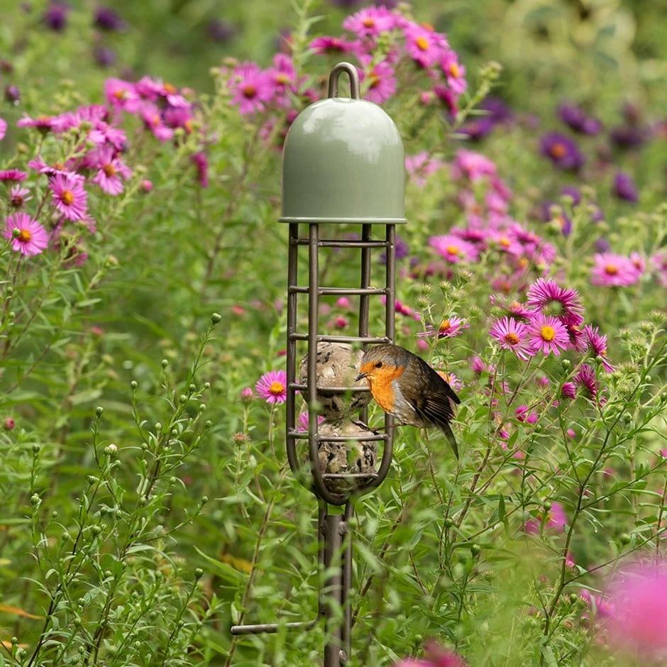 Garden Stake Fat Ball Feeder - Crocus Green 1 Garden Stake Fat Ball Feeder - Crocus Green