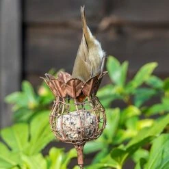 Poppy Seed Head Fat Snax Feeder - Rust 6 Poppy Seed Head Fat Snax Feeder - Rust -Plants Shop pr2000041714 card3 lg