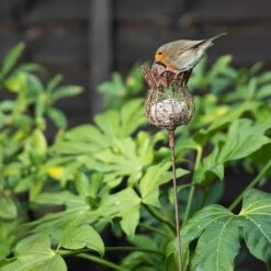 Poppy Seed Head Fat Snax Feeder - Rust 7 Poppy Seed Head Fat Snax Feeder - Rust -Plants Shop pr2000041714 card4 lg