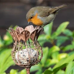Poppy Seed Head Fat Snax Feeder - Aged Zinc 6 Poppy Seed Head Fat Snax Feeder - Aged Zinc -Plants Shop pr2000041715 card3 lg