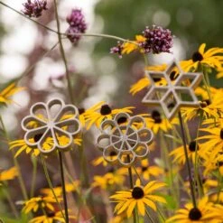 Plant/bulb Marking Stake - Daisy 9 Plant/bulb Marking Stake - Daisy -Plants Shop pr2000041717 card5 lg