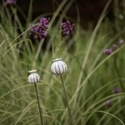 Perennial Plant/bulb Marking Stake Poppy Seed Head 11 Perennial Plant/bulb Marking Stake Poppy Seed Head -Plants Shop pr2000041720 card5 lg