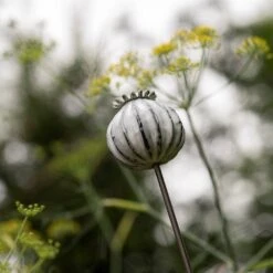 Perennial Plant/bulb Marking Stake Poppy Seed Head 13 Perennial Plant/bulb Marking Stake Poppy Seed Head -Plants Shop pr2000041720 card7 lg