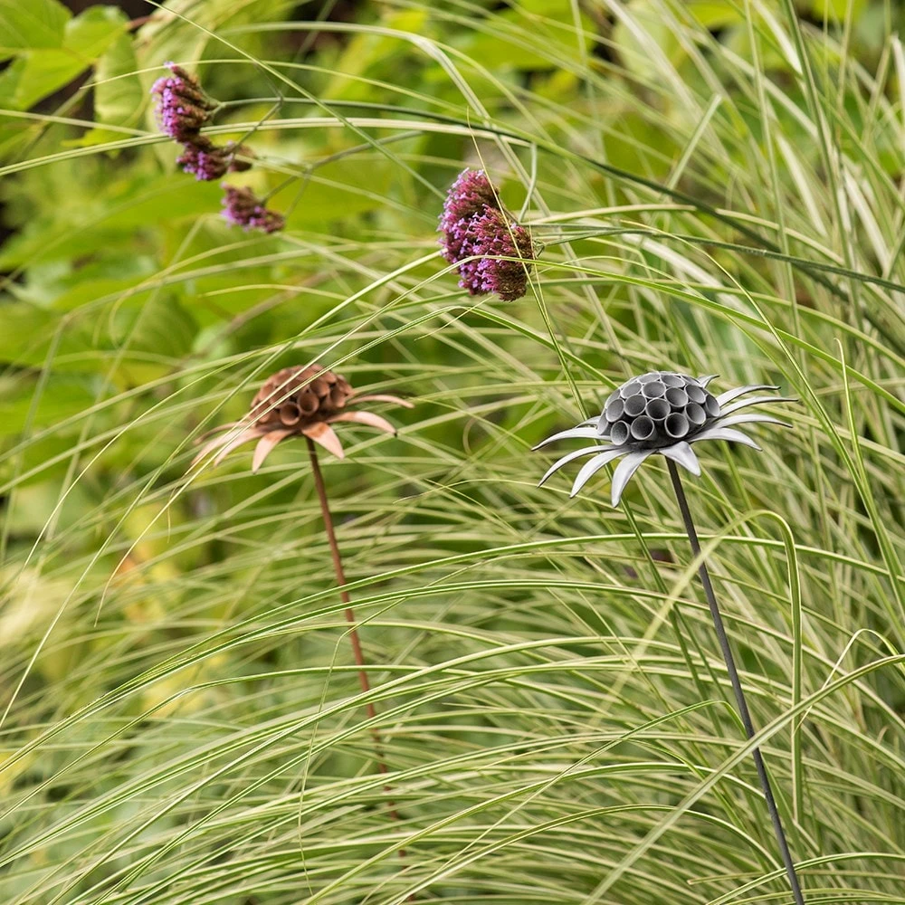 Scabiosa 'deadhead' Stake - Aged Zinc 4 Scabiosa 'deadhead' Stake - Aged Zinc - Image 4