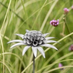 Scabiosa 'deadhead' Stake - Aged Zinc 9 Scabiosa 'deadhead' Stake - Aged Zinc -Plants Shop pr2000041722 card5 lg