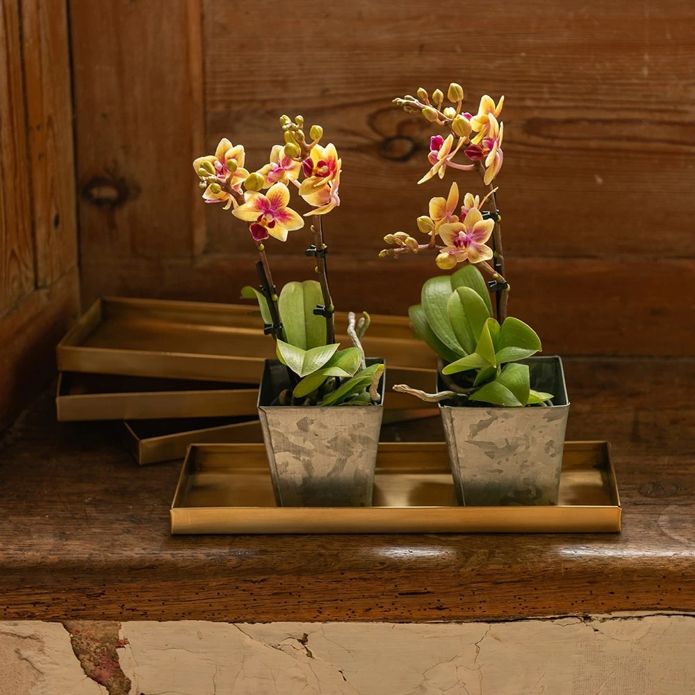 Brass Trays / Shelves - Set Of 4 2 Brass Trays / Shelves - Set Of 4 - Image 2