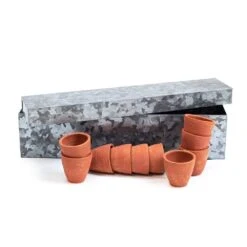 Galvanised Box With Ten Grow Pots -Plants Shop pr2000041739 card3 lg