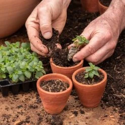 Galvanised Box With Ten Grow Pots -Plants Shop pr2000041739 card5 lg