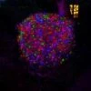 Fit And Forget Multicolour Multifunction LED String Lights