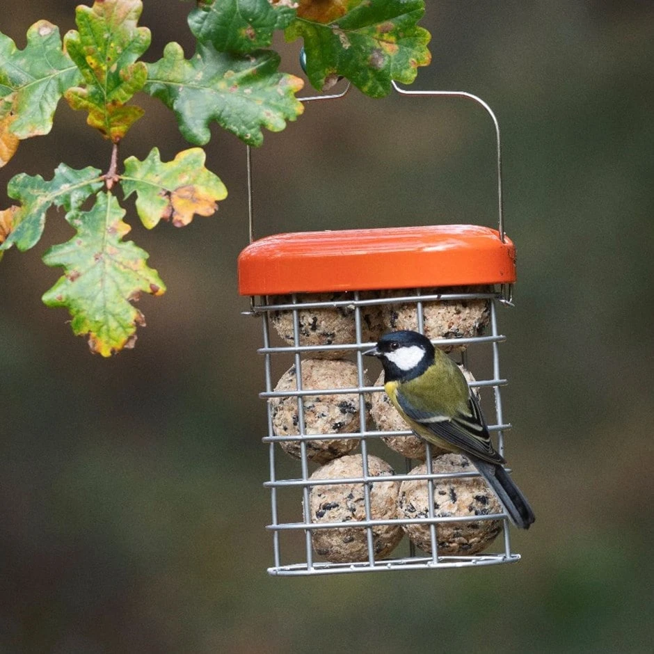Premium Suet Feeder 1 Premium Suet Feeder
