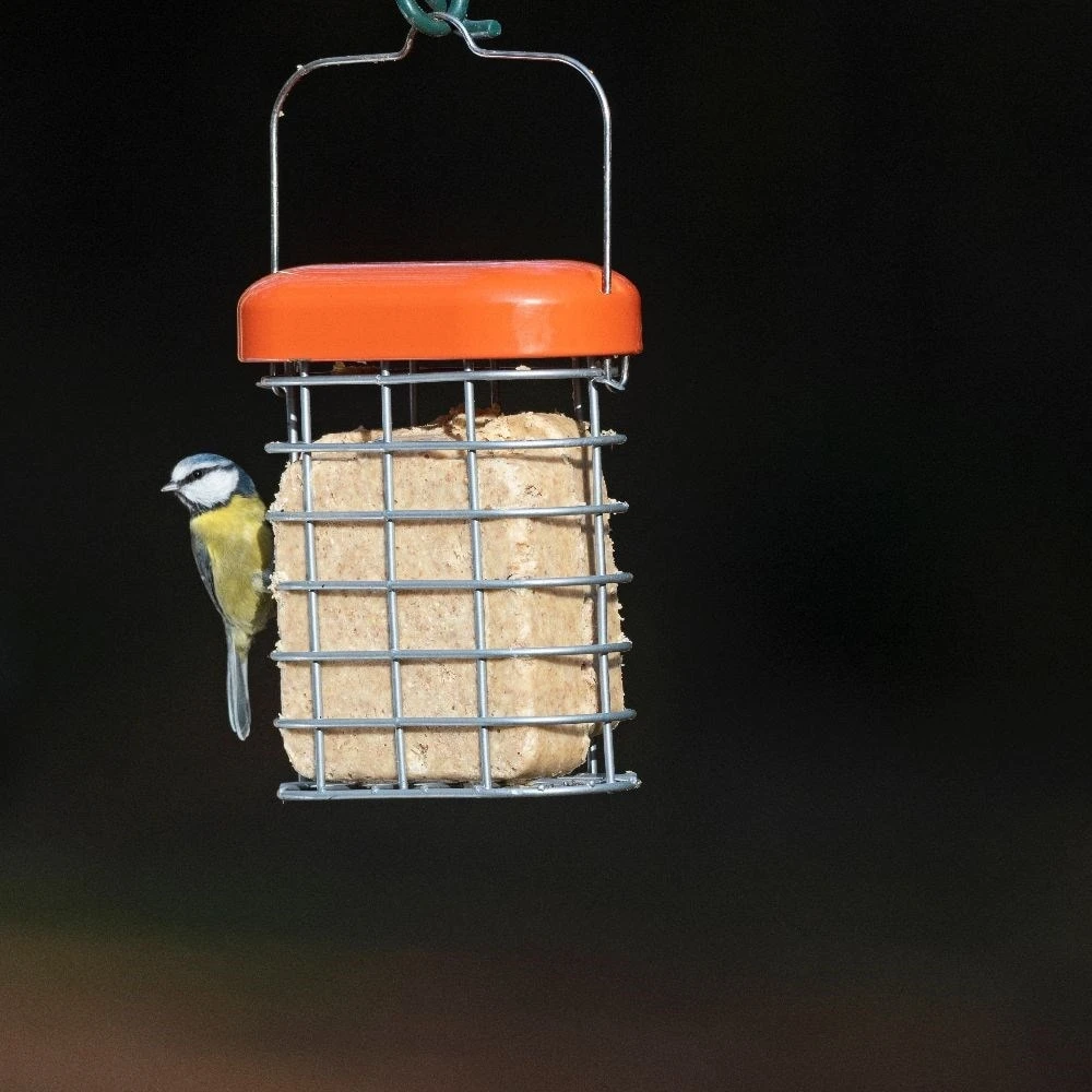 Premium Suet Feeder 2 Premium Suet Feeder - Image 2