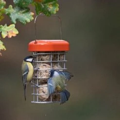 Premium Suet Feeder 6 Premium Suet Feeder -Plants Shop pr2000044042 card3 lg