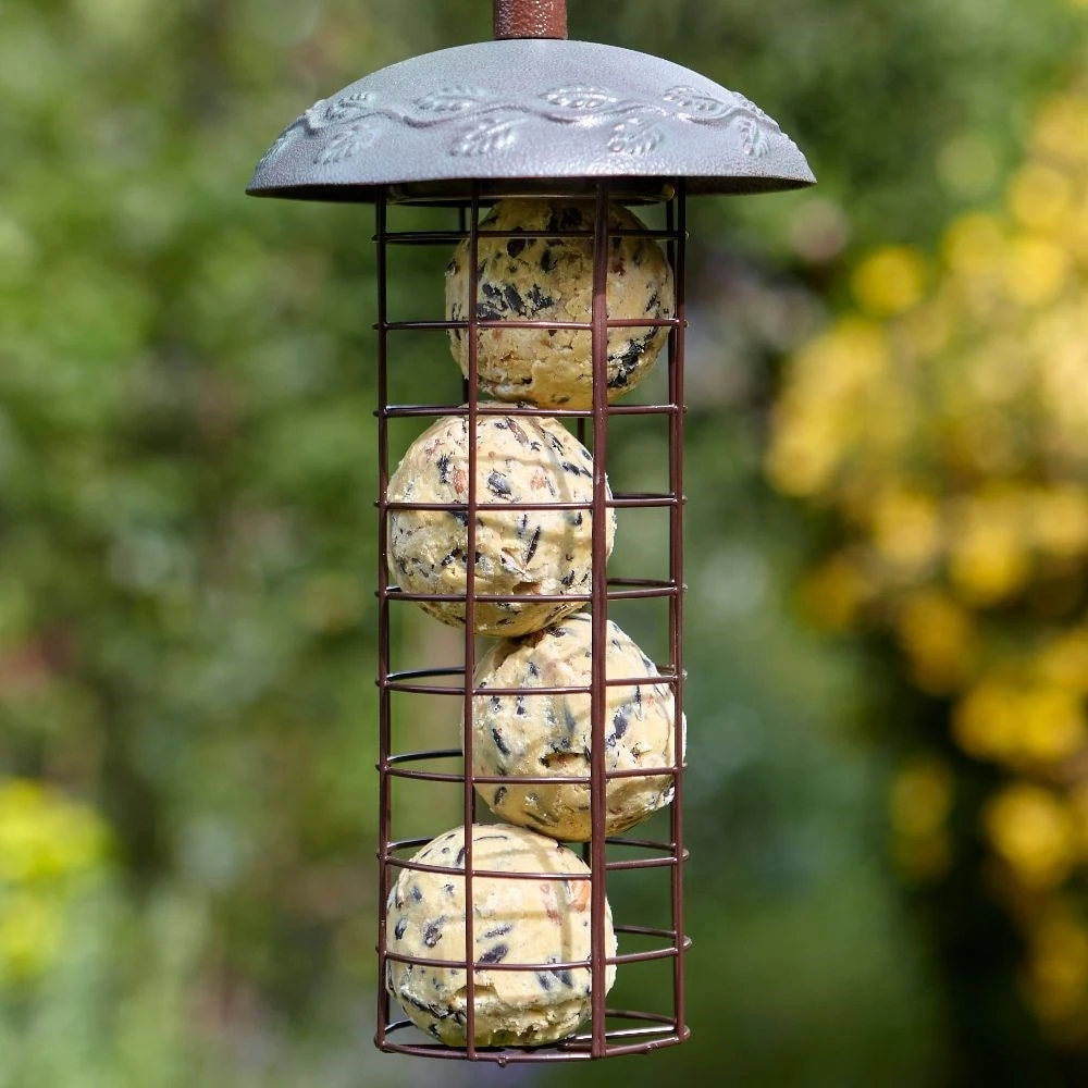 Extra Goodness Energy Balls 2 Extra Goodness Energy Balls - Image 2