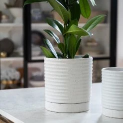 Stoneware Plant Pot & Saucer - White 5 Stoneware Plant Pot & Saucer - White -Plants Shop pr2000044694 card3 lg