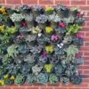 Living Wall Vertical Planting Set - 2.3m2