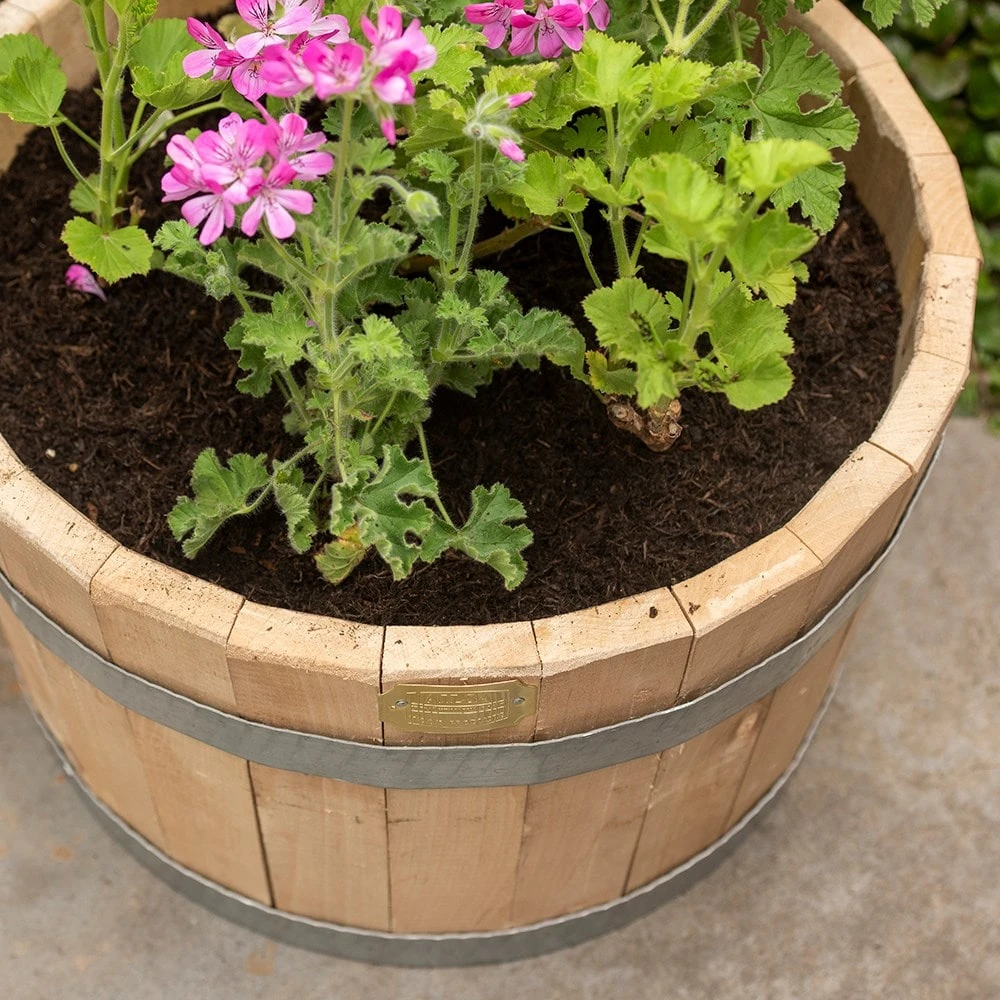 Hardwood Barrel Planter 3 Hardwood Barrel Planter - Image 3