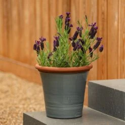 Grey Kitchen Planter -Plants Shop pr2000044988 card7 lg
