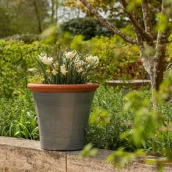 Grey Kitchen Planter -Plants Shop pr2000044988 card8 lg