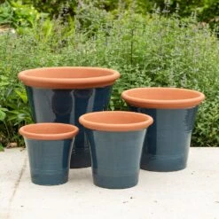 New Release -Plants Shop pr2000044992 card2 lg