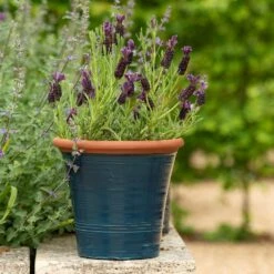 Dark Teal Kitchen Planter -Plants Shop pr2000044992 card7 lg