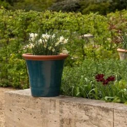 Dark Teal Kitchen Planter -Plants Shop pr2000044992 card8 lg