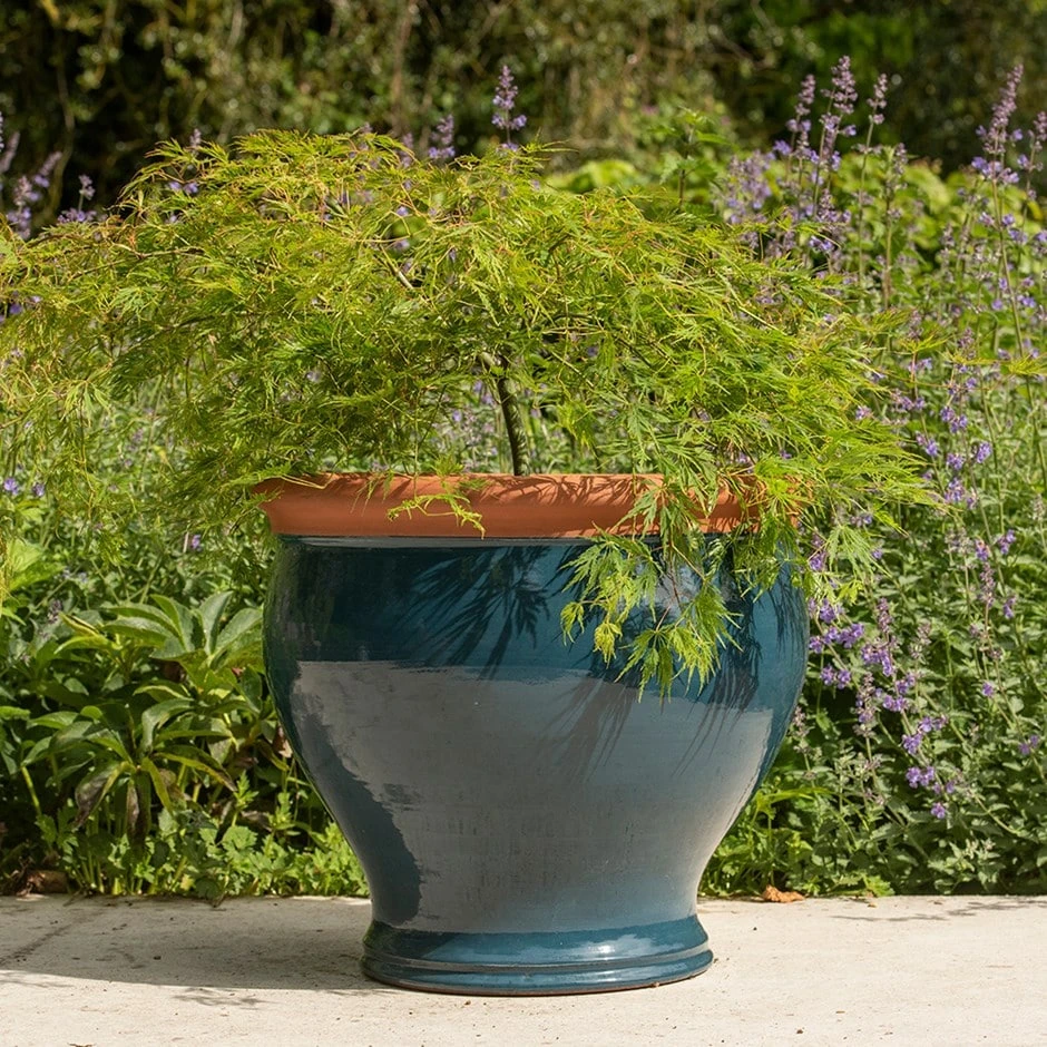 Dark Teal Bellied Planter 1 Dark Teal Bellied Planter