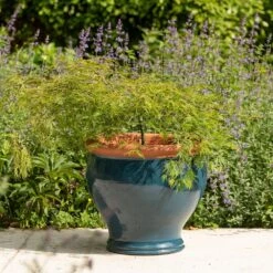 Dark Teal Bellied Planter 9 Dark Teal Bellied Planter -Plants Shop pr2000045004 card5 lg