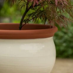 Ivory Bellied Planter -Plants Shop pr2000045026 card3 lg