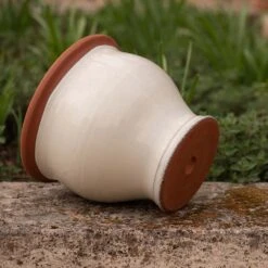 Ivory Bellied Planter -Plants Shop pr2000045026 card4 lg