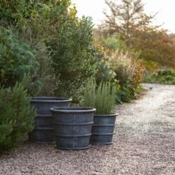 Greystoke Ribbed Planter - Aged Zinc 14 Greystoke Ribbed Planter - Aged Zinc -Plants Shop pr2000046295 card5 lg