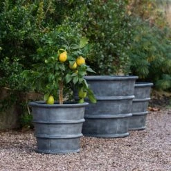 Greystoke Ribbed Planter - Aged Zinc 18 Greystoke Ribbed Planter - Aged Zinc -Plants Shop pr2000046295 card9 lg