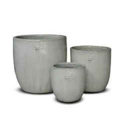 Glazed Ceramic Pot - White 17 Glazed Ceramic Pot - White -Plants Shop pr2000046300 card9 lg