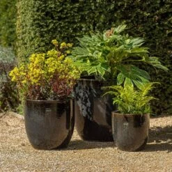 Glazed Ceramic Pot - Misty Black 8 Glazed Ceramic Pot - Misty Black -Plants Shop pr2000046301 card3 lg