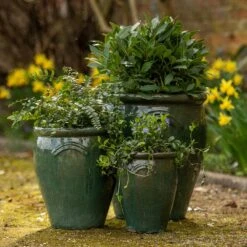 Glazed Terracotta Tulip Pot - Misty Green -Plants Shop pr2000046304 card3 lg