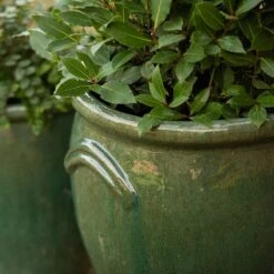 Glazed Terracotta Tulip Pot - Misty Green -Plants Shop pr2000046304 card5 lg