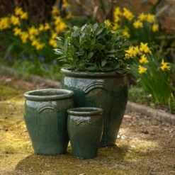 Glazed Terracotta Tulip Pot - Misty Green -Plants Shop pr2000046304 card6 lg