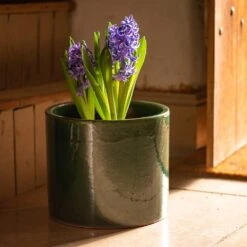 Glazed Ceramic Cylinder Crackle Green 11 Glazed Ceramic Cylinder Crackle Green -Plants Shop pr2000046309 card6 lg