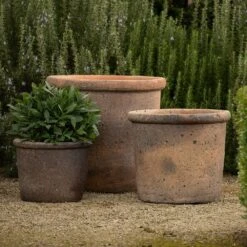 Terracotta Pot - Sandblasted -Plants Shop pr2000046311 card4 lg