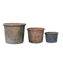 Terracotta Pot - Sandblasted -Plants Shop pr2000046311 card8 lg