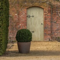 Tapered Terracotta Pot - Sandblasted -Plants Shop pr2000046314 card6 lg