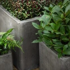 Cement Cube Pot - Waxed -Plants Shop pr2000046317 card3 lg