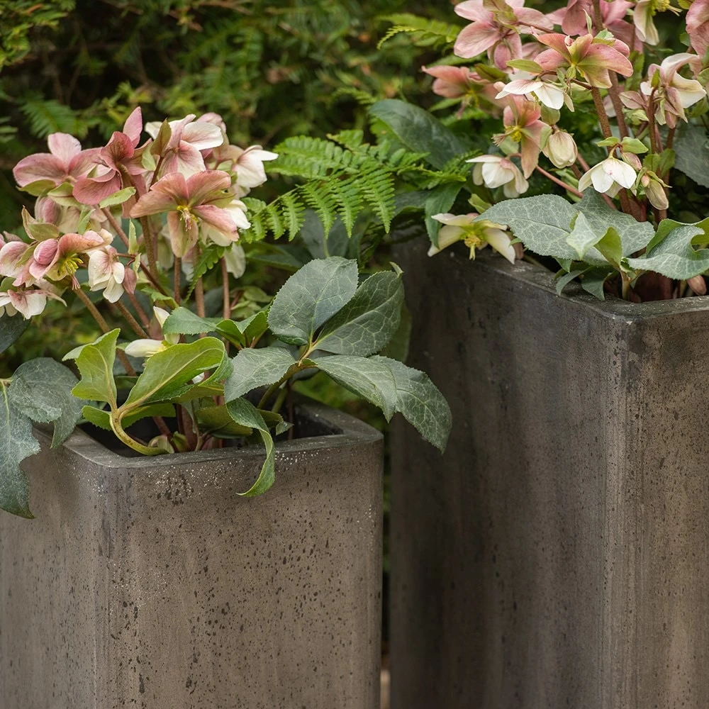 Tall Cement Cube Pot - Waxed 2 Tall Cement Cube Pot - Waxed - Image 2