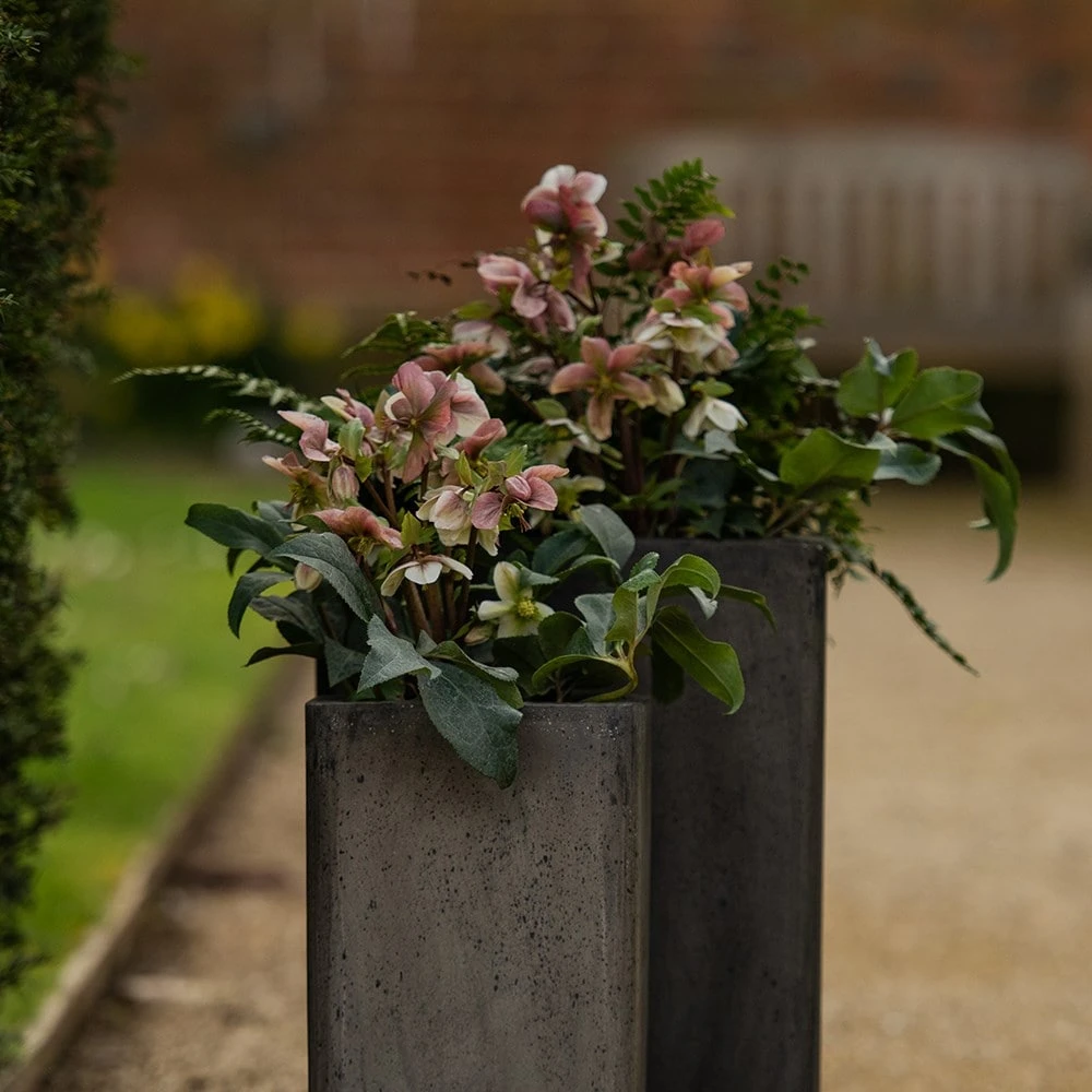 Tall Cement Cube Pot - Waxed 7 Tall Cement Cube Pot - Waxed - Image 7