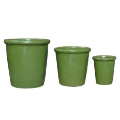 Glazed Ceramic Pot - Green 6 Glazed Ceramic Pot - Green -Plants Shop pr2000046324 card3 lg