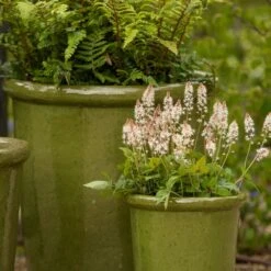 Glazed Ceramic Pot - Green 7 Glazed Ceramic Pot - Green -Plants Shop pr2000046324 card4 lg