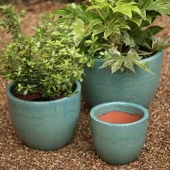 Glazed Terracotta Pot - Reef Blue -Plants Shop pr2000046329 card4 lg