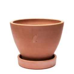 Terracotta Herb Pot And Saucer - Large 6 Terracotta Herb Pot And Saucer - Large -Plants Shop pr2000046523 card3 lg