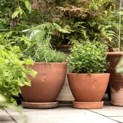 Terracotta Herb Pot And Saucer - Small -Plants Shop pr2000046524 card4 lg